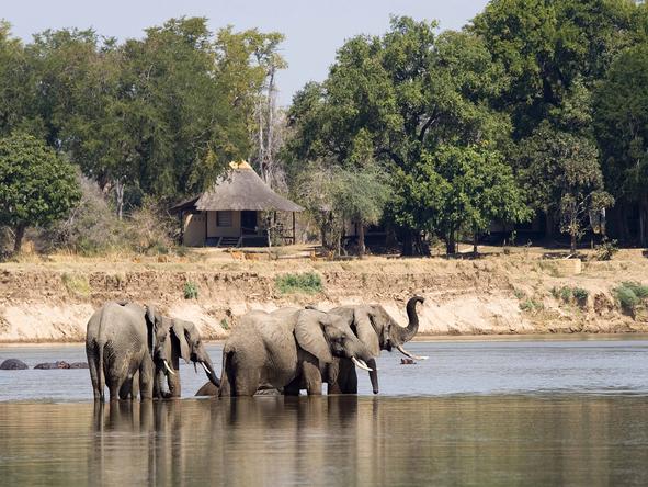 Nsefu - Wildlife